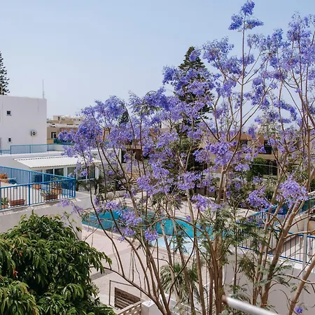 Viking Family Superior Lux *