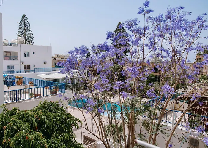 Viking Family Superior Lux *